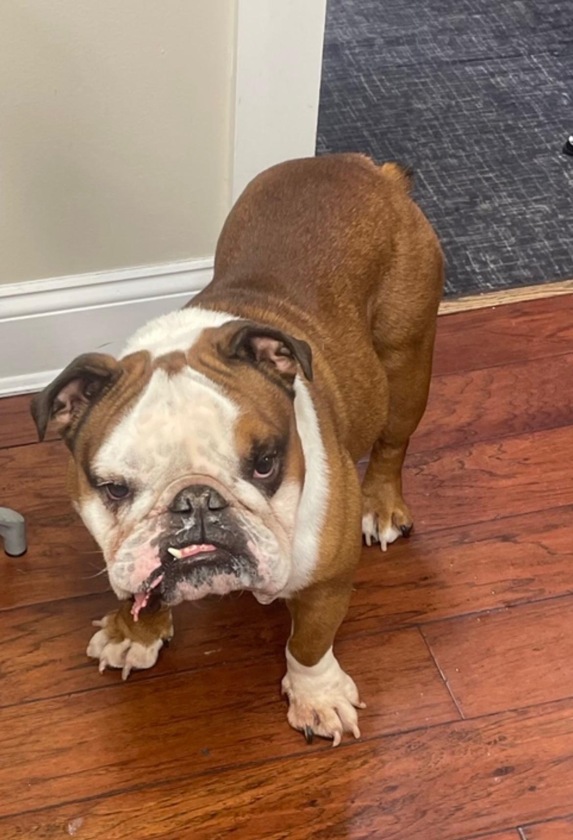 援都能在中 援都能在中